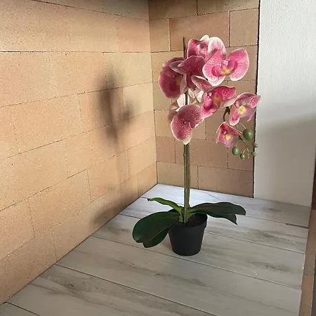 شقة Casa Dalia كالياري